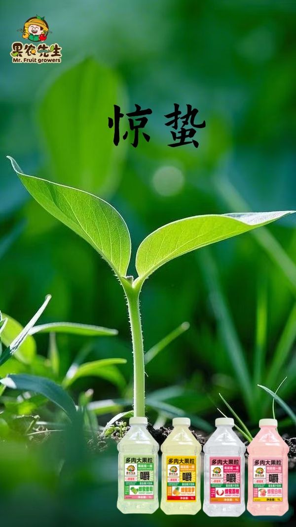 圖片1